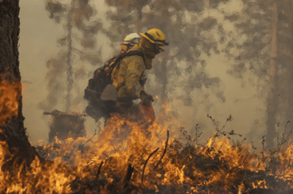 Memupuk Rasa Empati Dan Solidaritas