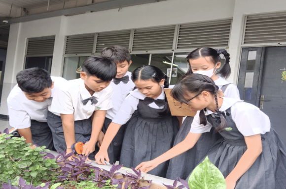 Praktek Langsung Mengukur Taman Sekolah Agar Lebih Mudah Memahami Rumus Matematika