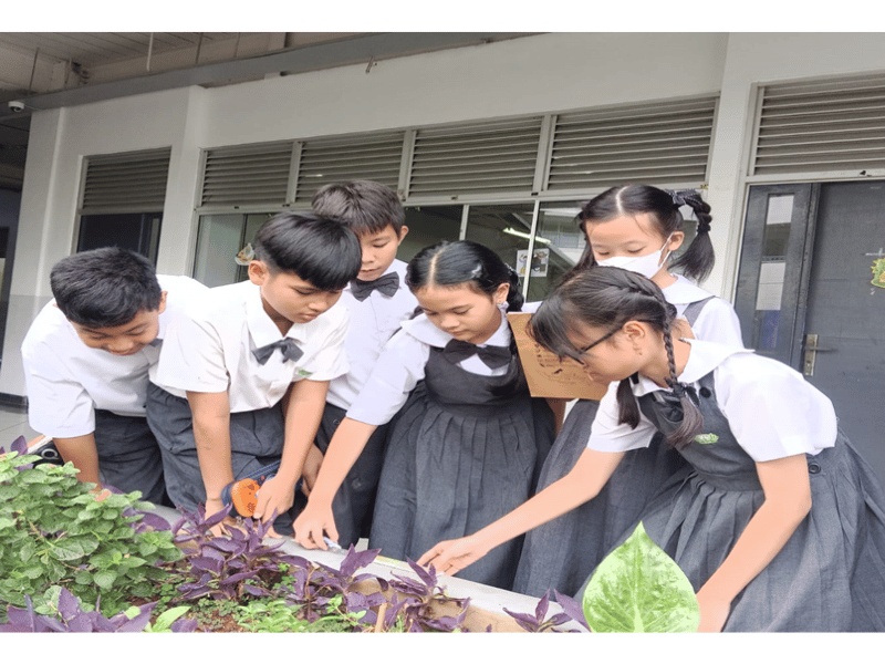 Praktek Langsung Mengukur Taman Sekolah Agar Lebih Mudah Memahami Rumus Matematika