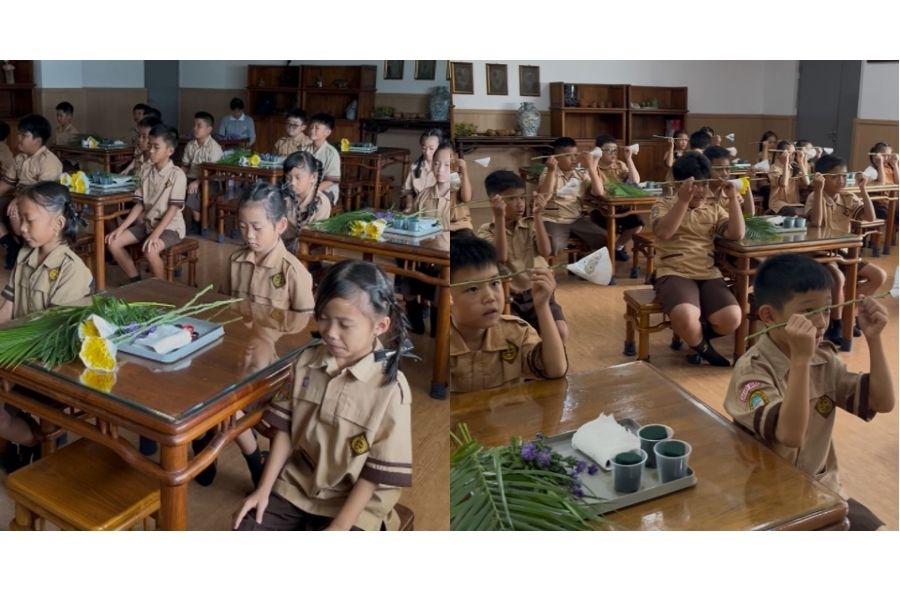 Pesona Bunga Krisan: Si Indah yang Penuh Makna dari Berbagai Penjuru Dunia