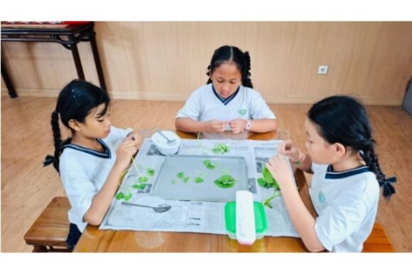 Serunya Memasak Sayur Bayam di Kelas!