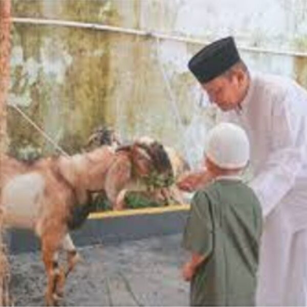 Qurban dan Melepas Kemelekatan